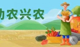 我是吃瓜之王免费阅读,揭秘娱乐圈幕后风云