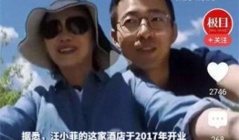 巴西大佬爆料视频大全集,揭秘幕后真相与惊人内幕