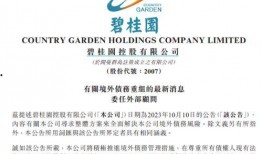 碧桂园爆料最新消息债务,揭秘最新债务动态与应对策略