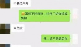 免费吃瓜聊天记录合集在线观看,揭秘网络社交背后的真实故事