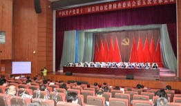 吴川市今日爆料会议记者,聚焦热点事件，深度解析舆情动向