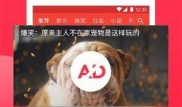 西瓜视频娱乐爆料怎么弄,揭秘热门事件幕后真相