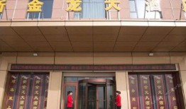 金龙大酒店爆料视频大全,揭秘酒店内幕与真实故事