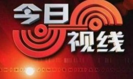 今日视线爆料没人管,揭开真相背后的冷漠