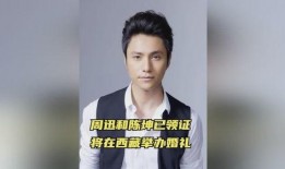 陈坤周迅最新爆料,揭秘娱乐圈背后的惊人真相