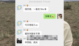 惠然已婚爆料视频播放全集,婚姻真相与情感纠葛大起底