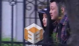 卓伟最新爆料胡军和刘涛,卓伟最新爆料揭秘娱乐圈新恋情