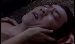 还枝格格 在线观看,穿越时空的传奇佳人在线观看之旅
