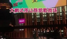 鞍山饭店爆料事件视频曝光,事件真相引发热议