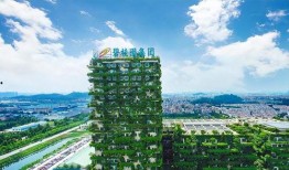 碧桂园爆料最新消息债务,揭秘最新债务动态与应对策略