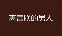 朕的男人在线观看,穿越时空的浪漫邂逅