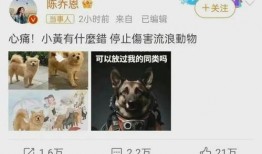 二狗爆料谢航视频大全集,谢航视频大全集深度解析