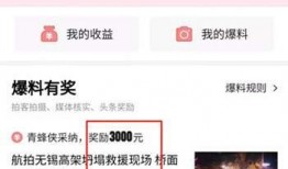 怎样加入爆料视频平台呢,揭秘加入爆料视频平台的步骤与指南