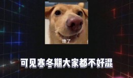 娱乐吃瓜小八卦,吃瓜小八卦背后的真相大起底