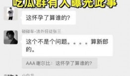 免费吃瓜聊天记录合集在线观看,揭秘网络社交背后的真实故事