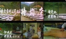 撞够本在线观看,在线观看，揭秘网络直播背后的真实故事